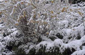 Casa Sorelle Baiocchi - Foto 5