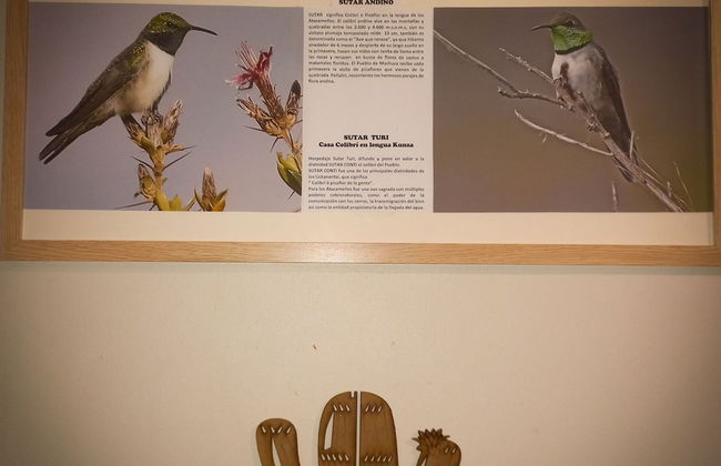 Casa Sutar 1 y 2 - Photo 48