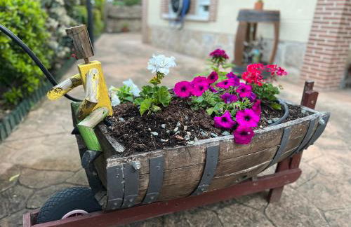 Casa Rural La Chistera - Foto 15