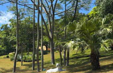 Casa de Montanha Quinta do Alto - Foto 7