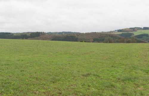 Sellerich Forest Hideaway - Foto 71