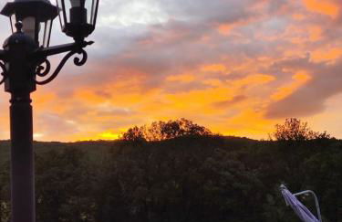 Au chant des oiseaux - rouge gorge - Foto 23