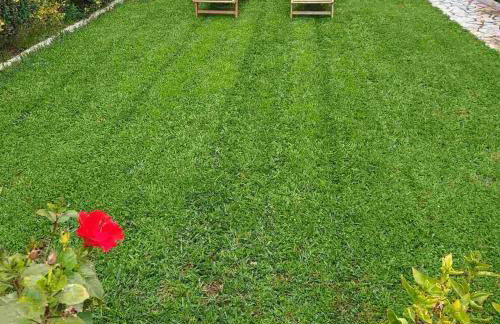 Villa Myrto Nafpaktos - Foto 24