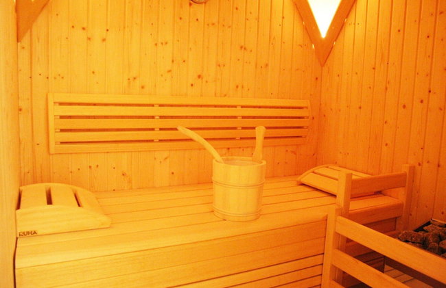 Cozy Apartment with Sauna near Ski Slopes in Mittersill - Foto 11