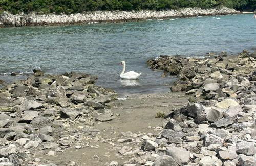 Casa Camilla - Foto 48