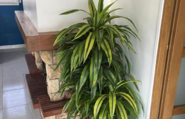 Holiday Home Near Lake and Leisure in Clos du Bannet - Foto 59