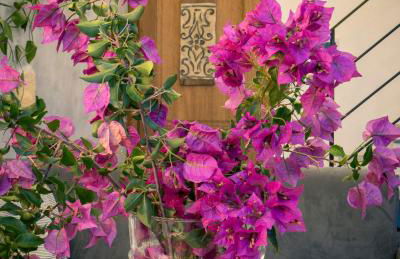 Baglio Colonna - Nature Noble Boutique - Foto 34