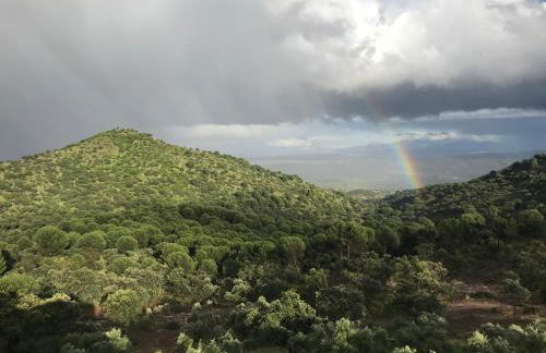 Casa rural DOS ENCINAS - Foto 58