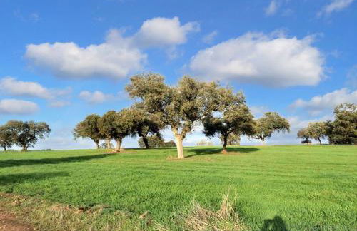 Comfortable House with Shared Pool in Alcaracejos - Foto 12
