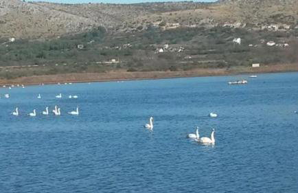 Apartment Tuja - Foto 30