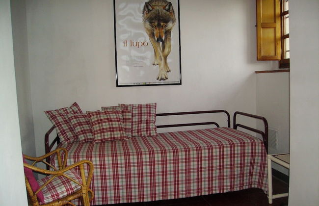 Fattoria Gambaro di Petrognano - Foto 38