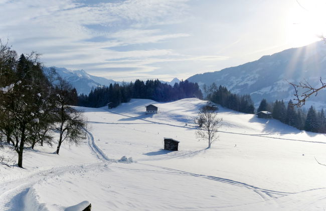 Apart Wurm - Foto 23