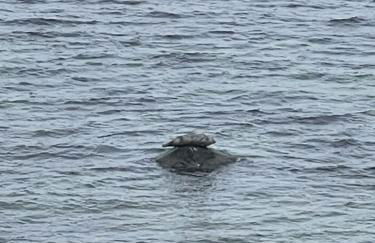 MP 1 Ankerplatz - Foto 16