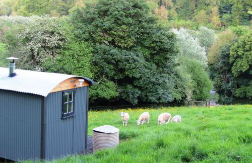 Shepherds Hut Slad Valley Cotswolds - Foto 3