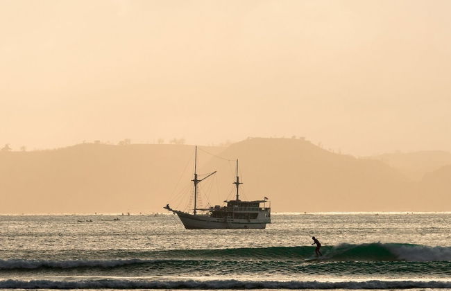 Royal Fortuna - Photo 11