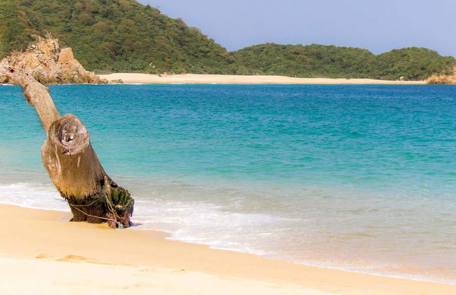 Excursión a las bahías de Huatulco - Foto 2