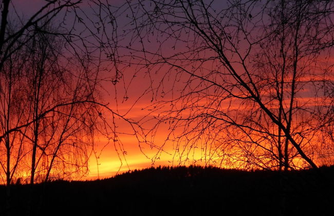 Forest Retreat w/ Sauna - Foto 33