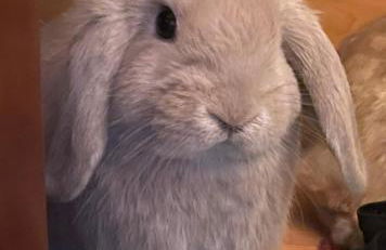 TideAway Farm on Private Island! Escape & Indulge Mother Nature! - Foto 35