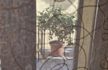 casa Matisse - Foto 7