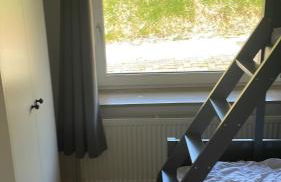 Seemöwe am Naturstrand - Foto 14