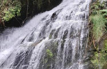 Chalé da Cachoeira - Cachoeira particular dentro da hospedagem - Foto 5