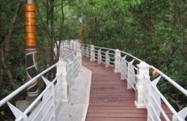 Da Bella Homestay - Foto 25