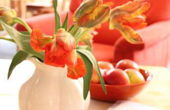 Gästehaus zum Landesteg - Foto 40