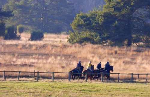 Fewo-Mundi - Foto 34