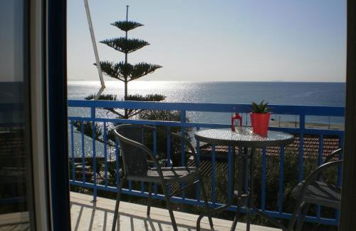 Sunrise Flora - Foto 1