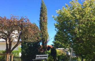 Apartment in musikalischem Haus - Foto 16