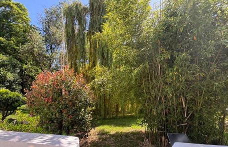 Gîtes Terra di a Bravona - Foto 58