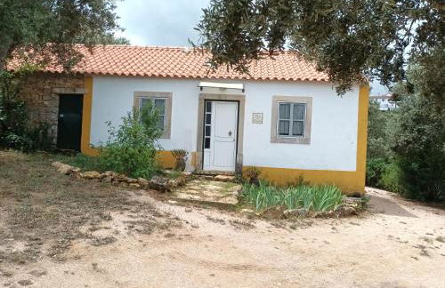 Casa dos Terranhos - Foto 29