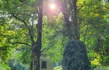 Odenwald-Lodge mit Infrarotsauna und E-Ladestation im Naturpark Odenwald "Haus Himmelblau" - Foto 27