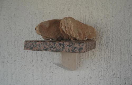 Apartmani Tijano - Photo 53