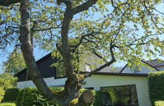 Sauerland Alm Winterberg 5 - Photo 11