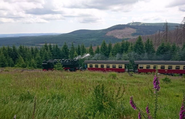 Holiday Home in Hasselfelde - Foto 14