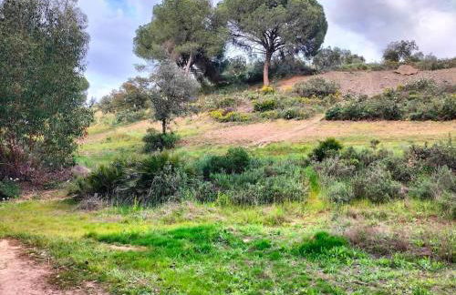 FINCA RIODIEL - Foto 64