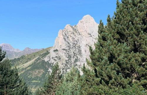 Mimosa 4 con terraza - tucasaenlospirineos - Foto 23