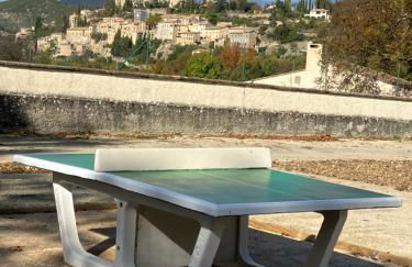 Chateau appartement tussen Mont Ventoux en Luberon - Foto 18