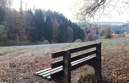 Ferienwohnung Schlossblick - Foto 28