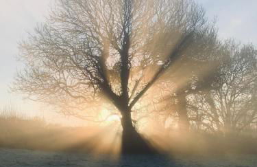 The Piggery near Bruton - Foto 7