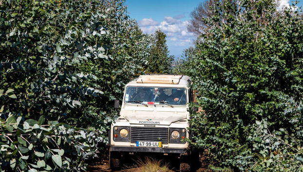 Jeep safari in autostrada