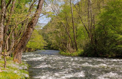 Nantahala River Luxury Escape-on the river! - Foto 27