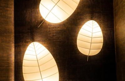 Agriturismo Terra del Sole - Foto 10