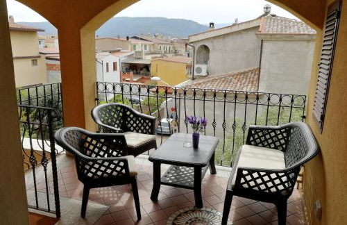 Mussilimbrosu - Photo 7