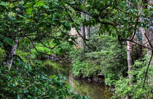 Kaisermantel - Foto 35