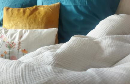 November Charlie, appartement en centre ville de Bruz - Foto 1