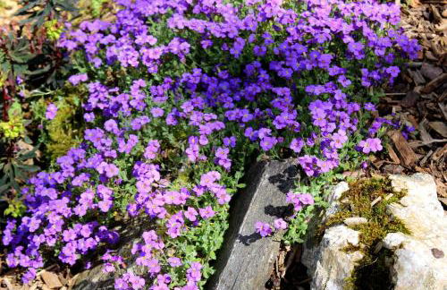 Ferienwohnung Hausladen - Foto 11