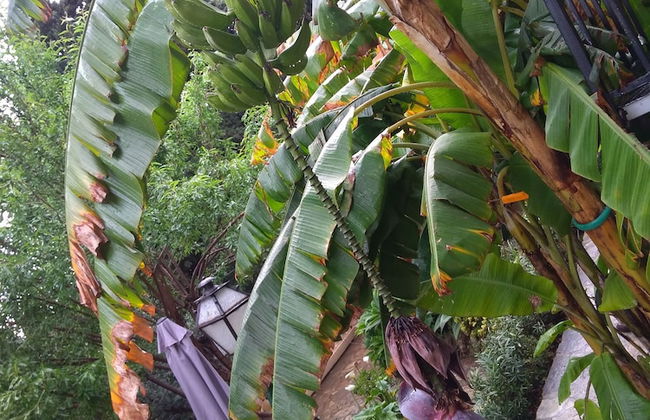 Villa Azur - Foto 45