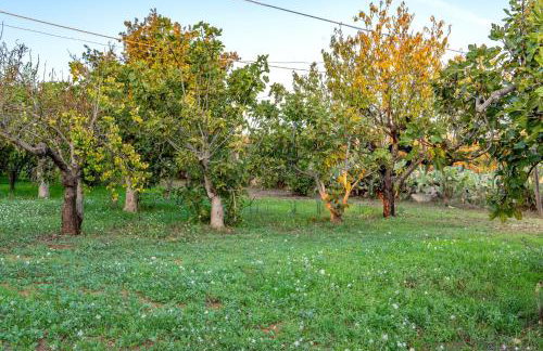 Villa Dany with pool - Photo 42